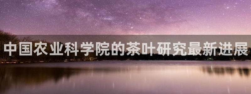 龙八国际游戏视频