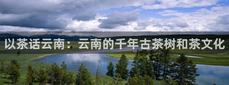 龙八国际手机网页版