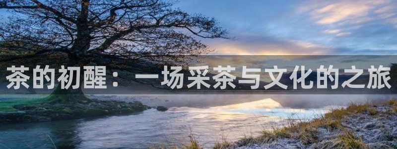 龙八国际网页登陆