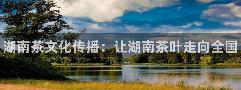 下载龙八国际手机版手游