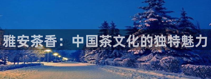 龙八国际娱乐场