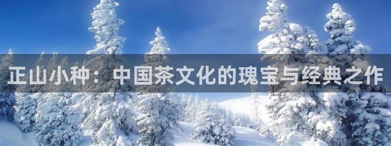 龙八国际是个什么游戏机