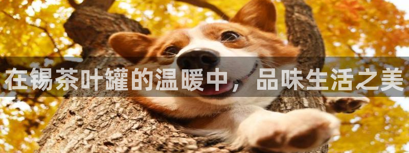 龙八国际娯乐城软件下载