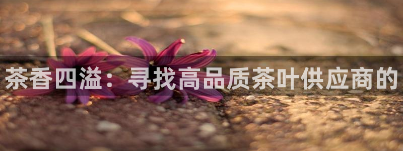 龙八国际网页版本