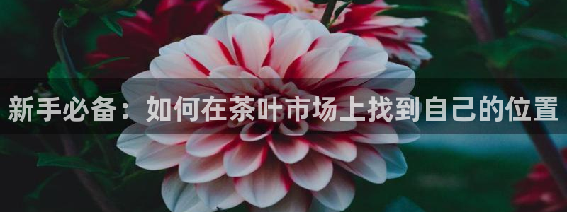 龙八国际平台手机版下载