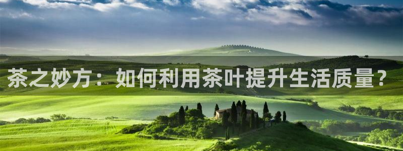 龙八国际城网址