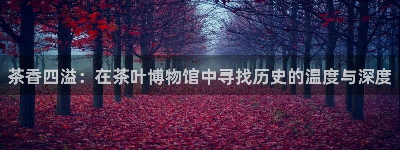 龙八国际下载地址