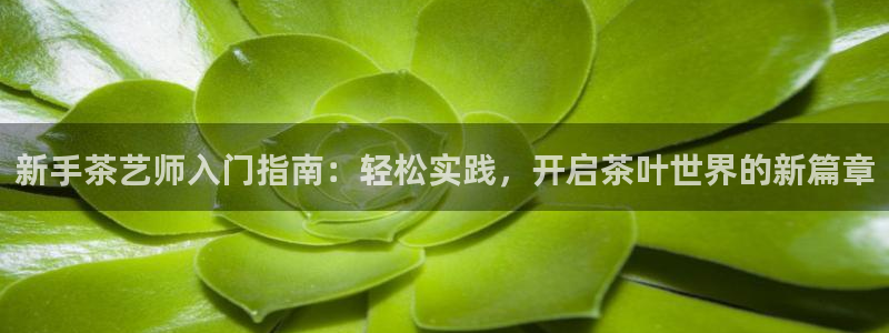 龙八国际手机版登录首页