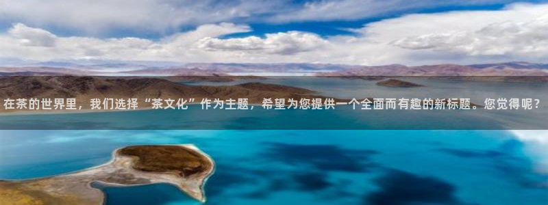 龙八国际手机app