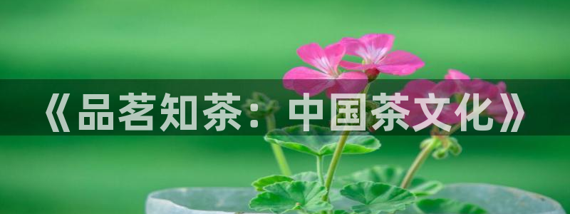 龙八国际客户端登录