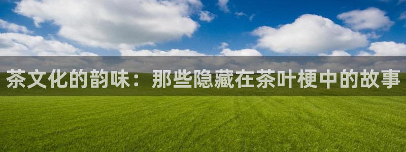 龙八国际头号玩家下截