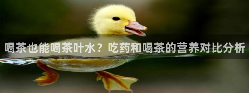 龙八国际pt游戏下载