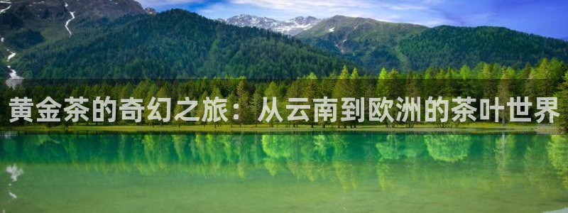 龙八国际娱乐官网注册