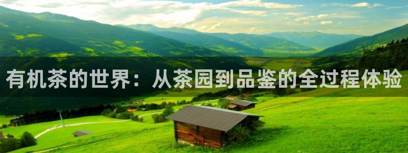 龙八国际app官方网站