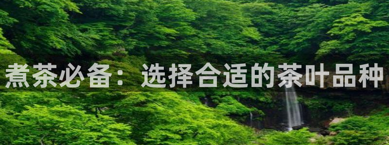 龙八国际pt客户端