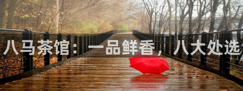 龙八国际b48点tv