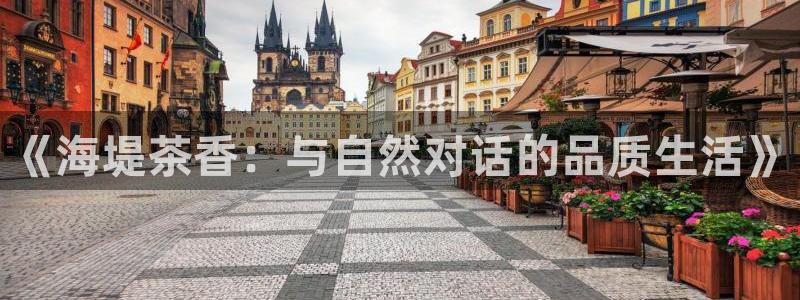 龙八国际官方手游