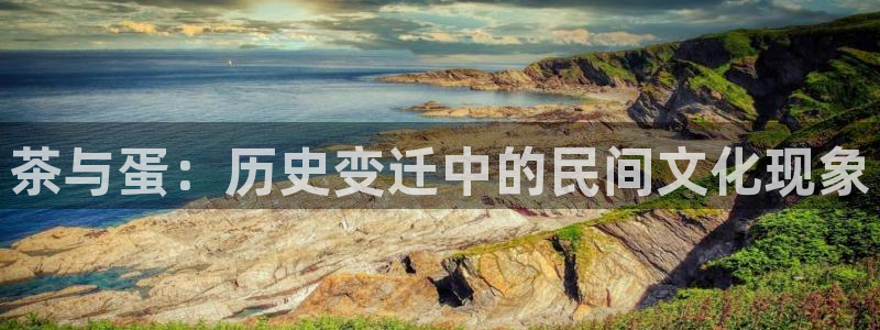 龙八国际是什么