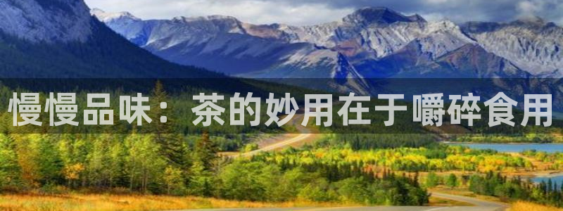 龙八国际网页long8.hn