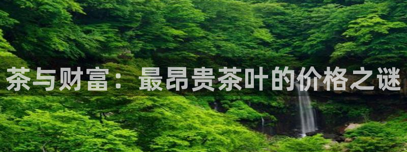 国际龙八国集团