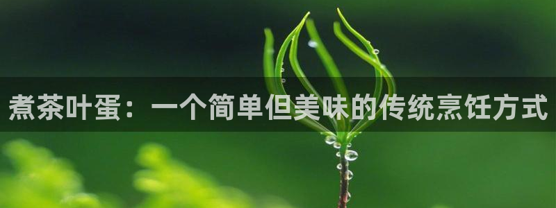 龙八国际pt客户端