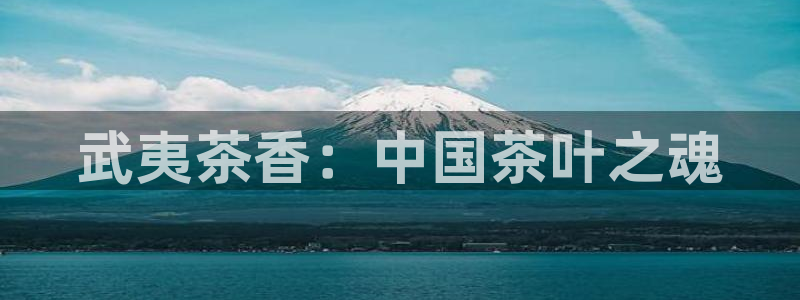 龙八国际在线玩