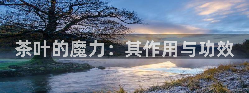 龙八国际服官网