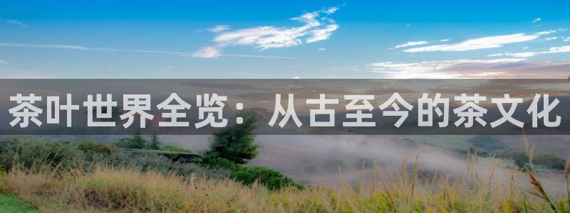 龙八国际官方网站pt