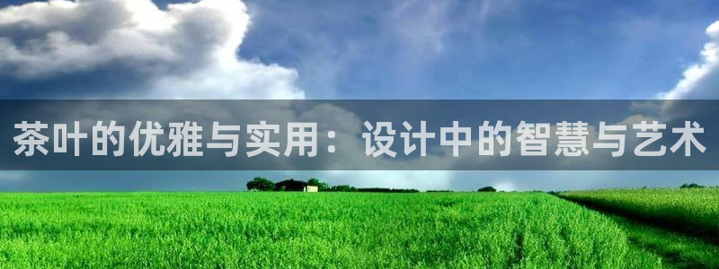 菲律宾龙八国际