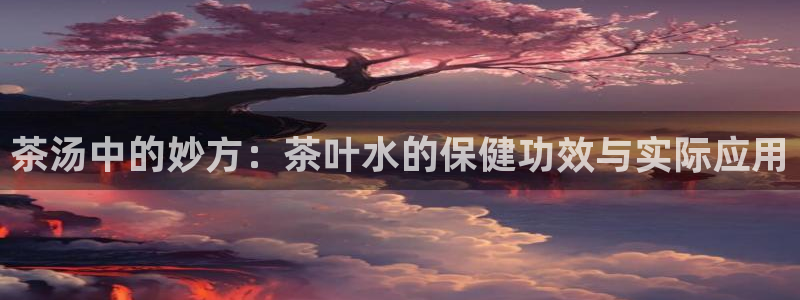 龙八国际是什么软件