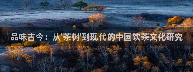 龙八国际黑不黑