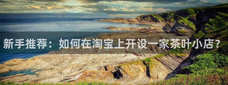 龙八国际官网安卓