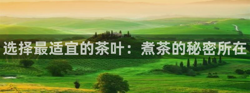 龙八国际网站全网