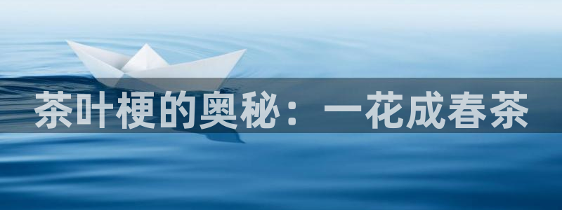 龙八国际怎么注册苹果