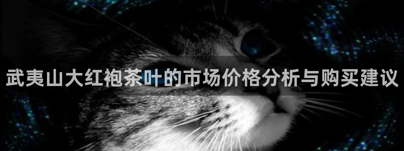 龙八国际官网网址