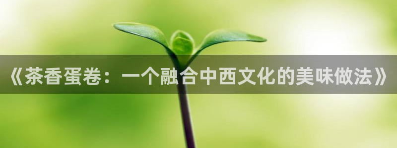 龙八国际娱乐靠谱吗