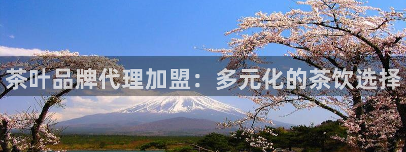 菲律宾龙八国际