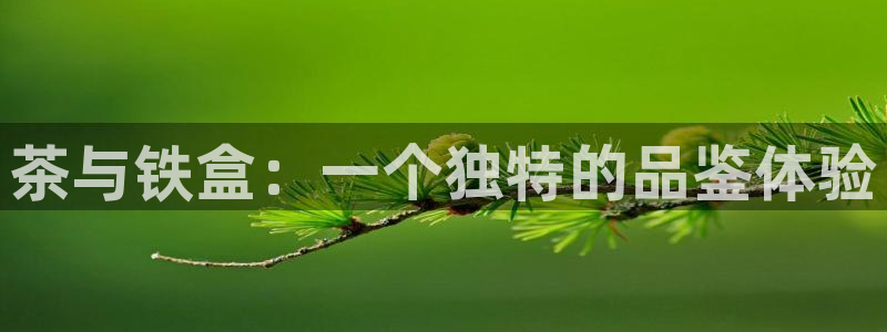 龙八国际app下载安卓