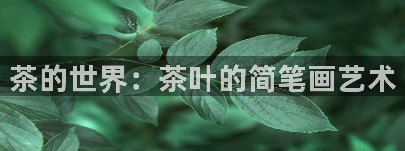 龙八国际我要登录