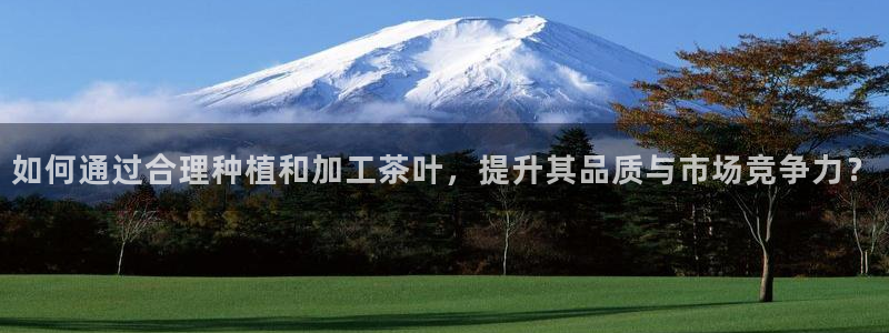 龙八国际手机版下载官网