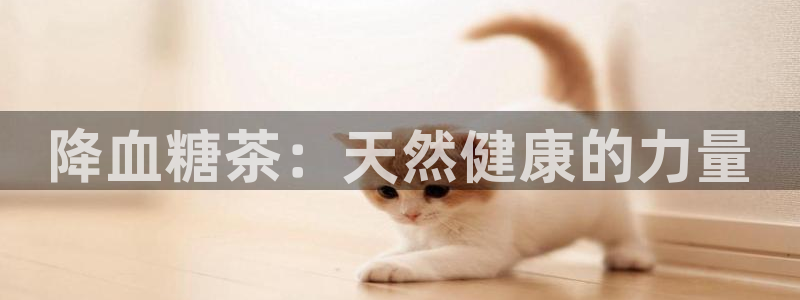 手机版龙八国际服客服