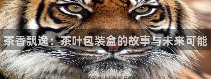 龙八国际游戏登录