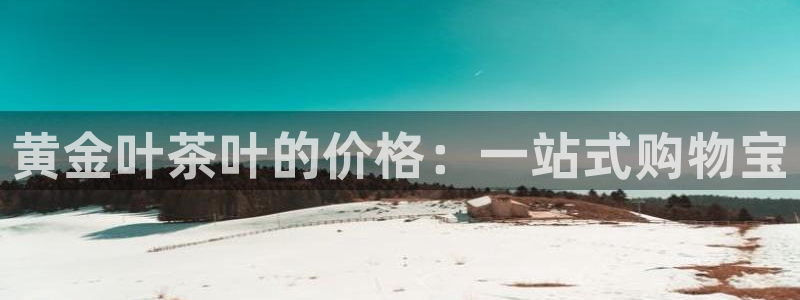 龙八国际pt客户端下载