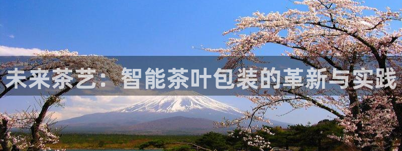 龙八国际官方娱乐网站com