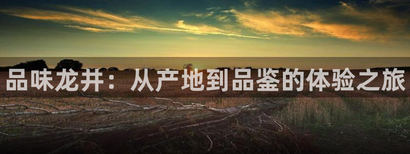 龙八国际娱手机