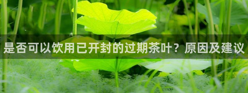 龙八国际娱乐官网注册