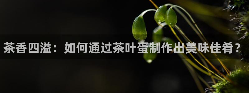 龙八国际app客户端