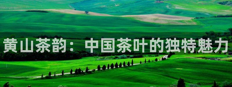 龙八国际手机版下载官网