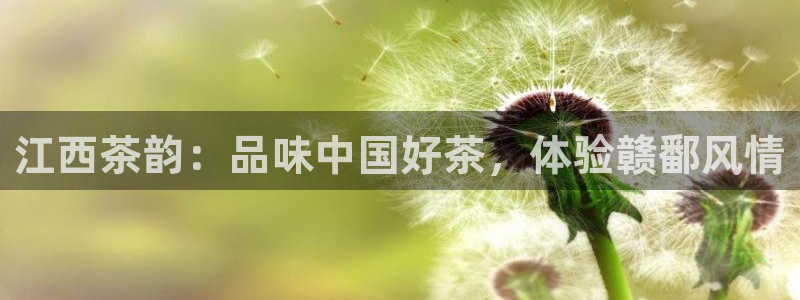 龙八国际手机登录首页