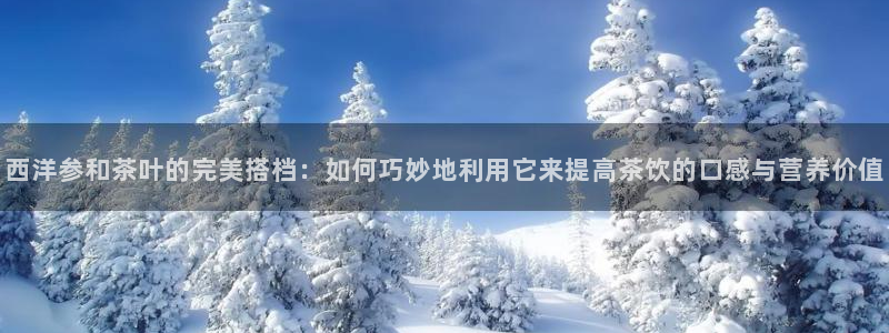 龙八国际娱乐pt